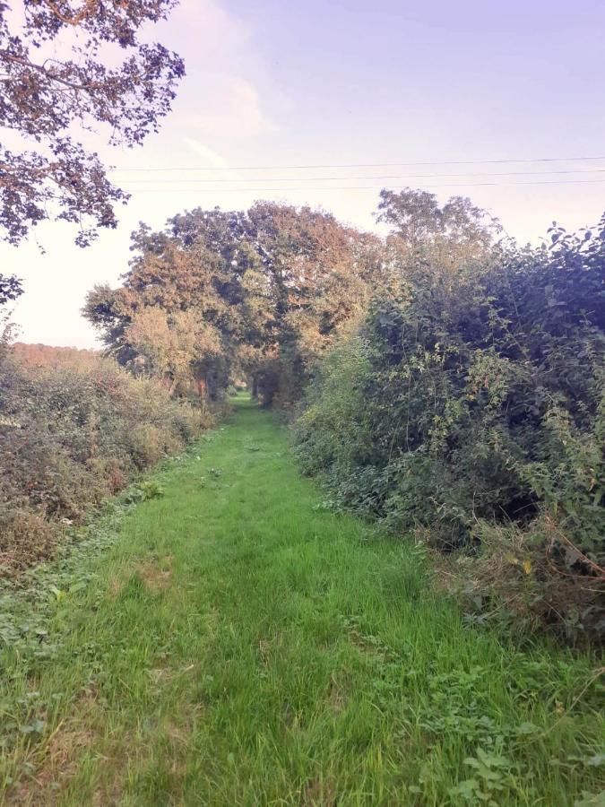 Gite De L'Ecureuil62, Pres Des Plages Et De La Foret Baincthun Zewnętrze zdjęcie
